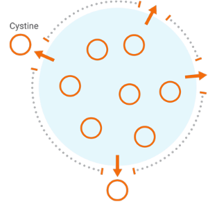 Lyosome Without Cystinosis Graphic